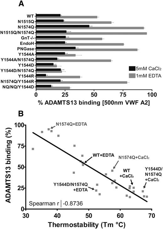 Figure 7. Relationship between VWF A2 domain thermostability and ADAMTS13 binding. (A) The competition binding percentage of the VWF A2 domain variants at saturating concentrations (500 nM) to ADAMTS13 is displayed. Results are means ± SEM of at least 3 independent experiments (the N1515Q/N1574Q/Y1544D variant is labeled as Y1544D/NQ/NQ). (B) The calculated mean Tm was plotted against the mean solution binding of 500 nM VWF A2 to 30nM iADAMTS13 for the variant and condition matched VWF A2 domain variants. Example data points are indicated on the graph, and the Spearman coefficient was calculated using linear regression (GraphPad).