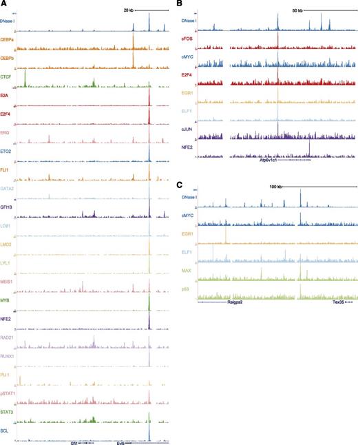 Figure 3. Additional genome-wide TF-binding profiles and DNase I hypersensitive site mapping enrich the combination binding information of the HSPC cell model, HPC-7. Raw ChIP-Seq read data were transformed into a density plot for each TF and loaded into the UCSC genome browser as custom tracks above the UCSC tracks for gene structure; all tracks are shown in mouse genome build mm10. (A) Gfi1 locus. (B) Atp6v1c1 locus. (C) Ralgps2t and Tex35 loci.