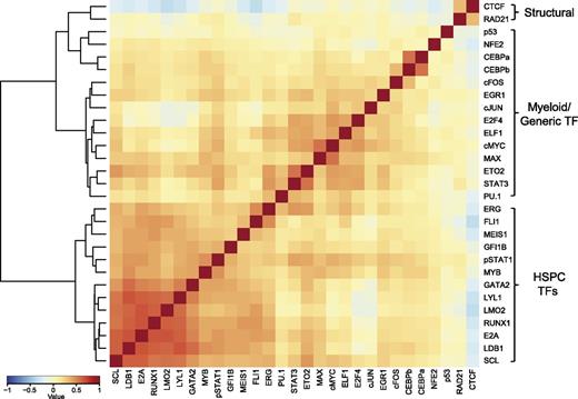 Figure 4. TF correlation analysis highlights combinatorial binding patterns in an HSPC cell model. Correlation analysis was performed using NPMI. The heatmap separates the 29 factors into “structural,” myeloid/generic TFs, and HSPC TFs.