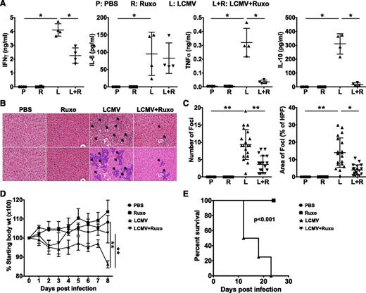 Figure 4. Ruxolitinib treatment reduces LCMV-induced hypercytokinemias and ameliorates liver inflammation. (A) Serum cytokine levels were assessed on days 8 to 10. (B) H&E-stained liver sections demonstrate inflammatory infiltrates (dark purple clusters), indicated by arrows. Representative sections are shown at a magnification of ×20 (top panels) and following computer analysis of inflammatory area (bottom panels). (C) The number of inflammatory foci (left) and percent area occupied by inflammatory foci with respect to the HPF view (right) was determined as in Figure 2. Data shown as mean ± SD are representative of 4 experiments. (D) Daily body weight is depicted as a ratio of the current over initial body weight ×100 with statistical significance determined by 2-way ANOVA. Symbols in panel A represent individual mice in each treatment group; in panel C, they represent the number of, or area encompassed by, inflammatory foci (clusters containing >8 lymphocytes) per ×20 field of view, whereas in panel D they represent the mean daily weight of the animals in each cohort. (E) Overall survival is depicted and statistical significance was determined by the log-rank test. Data in panels D and E are representative of 4 and 2 independent experiments, respectively. *P < .05, **P < .001.