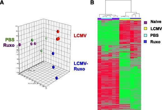 Figure 7. Ruxolitinib treatment inhibits STAT1-dependent gene expression in splenic CD8+ T cells from LCMV-infected Prf1−/− mice. TCRβ+ CD8+CD44+ T cells were sort-purified from the spleens of uninfected untreated (PBS), uninfected ruxolitinib-treated (Ruxo), LCMV-infected (LCMV), and LCMV-infected ruxolitinib-treated (LCMV, Ruxo) Prf1−∕− mice. Sorted T cells were used to isolate RNA and complete complementary DNA microarray analysis. (A) PCA of the unfiltered data set. Each dot represents 1 mouse within each cohort. (B) Unsupervised hierarchical clustering of probe sets filtered on a log2 expression difference of >1.5 (1035 total probe sets). The height of the branches in the dendrogram reflects the distances between samples. Probe sets in green represent upregulated genes, compared with the mean expression; red represents downregulated genes.