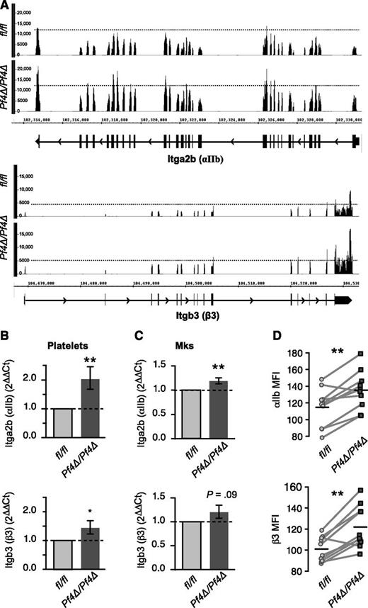 Figure 2. αIIb and β3 expression is increased in Dicer1-deficient platelets. (A) RNA-seq reads from Dicer1Pf4Δ/Pf4Δ or Dicer1fl/fl platelets aligning to αIIb (top) or β3 (bottom) mRNAs. Refseq annotations are included underneath each tracing, where thick and thin lines represent exons and introns, respectively. In these depictions, reads are piled up at their alignment location, so that both the density and height of histogram peaks are indicative of relative abundance. RNA-seq was performed on a pool of 3 mice per group. (B-C) Real-time PCR expression analysis of αIIb or β3 mRNA in (B) platelets or (C) BM-derived MKs from Dicer1Pf4Δ/Pf4Δ vs Dicer1fl/fl mice. *P < .05; **P < .01; unpaired Student t test. n = 9 to 13 mice per group for (B) and n = 4 mice per group for (C). (D) Surface expression of αIIb and β3 protein. Platelets from Dicer1Pf4Δ/Pf4Δ or Dicer1fl/fl mice were isolated and stained in littermate pairs for flow cytometry analysis. The gMFI of surface staining of αIIb and β3 for each pair are shown. Light gray lines connect each matched littermate pair, and the horizontal lines represent the mean for each group (**P < .01; paired Student t test; n = 10 pairs).