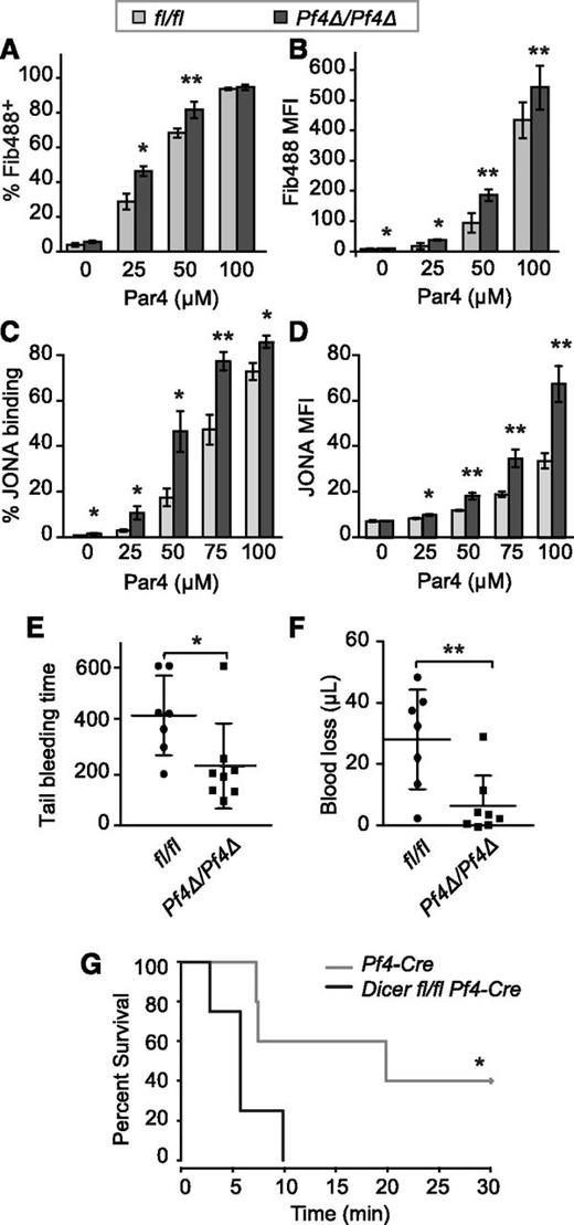 Figure 6. Dicer1-deficient platelets are hyper reactive and prone to clot. (A-B) Flow cytometry analysis of fibrinogen binding to in vitro activated mouse platelets. Washed platelets from Dicer1Pf4Δ/Pf4Δ or Dicer1fl/fl mice were activated with increasing concentrations of a PAR4 agonist for 20 minutes in the presence of Alexa Fluor 488 labeled fibrinogen. (A) Mean ± SEM of the percentage of fibrinogen labeled (FIB488+) platelets or (B) intensity of fibrinogen 488 staining (gMFI). *P < .05; **P < .01; paired Student t test; n = 8 mice per group. (C-D) Flow cytometry analysis of JONA binding to platelets in whole blood in the presence of increasing concentrations of a PAR4 peptide. (C) Mean ± SEM of the percentage of JONA-labeled platelets or (D) the gMFI of JONA antibody staining (*P < .05; **P < .01; unpaired Student t test; n = 4 Dicer1fl/fl and n = 3 Dicer1Pf4Δ/Pf4Δ mice per group). (E-F) Analysis of tail-bleed time (E) and blood loss (F) after tail resection in Dicer1Pf4Δ/Pf4Δ vs Dicer1fl/fl mice (*P < .05; **P < .01; unpaired Student t test). (G) PE was induced in anesthetized mice of the indicated genotypes by IV injection of a solution of 60 mg/kg epinephrine and 150 mg/kg collagen. Time to death was monitored for 30 minutes. Shown is the Kaplan–Meier survival curve. *P < .05; log-rank test; n = 5 Pf4-Cre and n = 4 Dicer1Pf4Δ/Pf4Δ mice per group.
