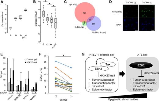 Figure 7. Epigenetic alteration in HTLV-1–infected cells within asymptomatic carriers. (A) Box plot showing EZH2 expression in subpopulations from HTLV-1–infected individuals. P, D, and N represent subpopulations from indolent ATL (n = 3) and asymptomatic HTLV-1 carriers (n = 2). P indicates CD7+/CADM1− cells; D indicates CD7+/CADM1+ cells; N indicates CD7−/CADM1+ cells. Acu-N indicates CD7−/CADM1+ cells from acute-type ATL. (B) Box plot showing relative expression levels of the H3K27me3-dependent silenced 856 genes (defined in supplemental Figure 4) in the subpopulations from HTLV-1–infected individuals and acute-type ATL (*P < 1E−4). (C) Venn diagram showing the relationship between disease progression and H3K27me3 gain. The 3 subgroups were classified according to the disease stages (stage I indicates P to D progression; stage II indicates D to N progression; stage III indicates indolent N to acute-type N progression). Each gene set was defined as (1) H3K27me3 gain (LogFC > 1) in acute-type ATL compared with normal CD4+ T cells and (2) decreased expression (FC < −1.5, P < .05) at the stages. (D) Microscopy data showing representative H3K27me3 level in CD4+/CADM1+ and CD4+/CADM1− subpopulations within asymptomatic carriers (n = 3). The scale bars indicate 20 μm. (E) Graph showing the results of μChIP assay with anti-H3K27me3 antibody and control IgG in CD4+/CADM1+ and CD4+/CADM1− subpopulations derived from asymptomatic carriers (n = 3, mean ± SD). Promoter region of the H3K27me3-regulated genes were tested. (F) Graph showing the population size of CD4+/CADM1+ cells in the presence or absence of 5 μM GSK126 treatment of 9 days (n = 14; *P < .05).