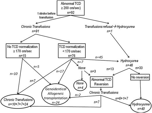 Figure 1. Flowchart of the study of patients from the newborn cohort with a history of abnormal velocities. Outcome of velocities after first normalization. Chronic transfusion was continued in 7 patients: 1 patient developed conditional velocities after initial normalization on transfusion, 2 patients with an identical donor are awaiting transplant, and 4 patients are scheduled for the switch to hydroxyurea. Chronic transfusion was stopped, and no new treatment introduced in 7 patients. Three of these had hypersplenism and were splenectomized, and it was decided to only observe the outcome. The parents of the 4 other patients refused the switch to hydroxyurea. After transfusion discontinuation, 3 of 7 patients (including 1 splenectomized) had reversion to abnormal TCDI and were placed again on transfusion, but 1 having a genoidentical cord blood donor was later transplanted. Transplant was performed in 17 patients who had a genoidentical donor. They were maintained on transfusion until transplant. All still have normal velocities posttransplant. Switch to hydroxyurea was prescribed in 45 patients (see the text).