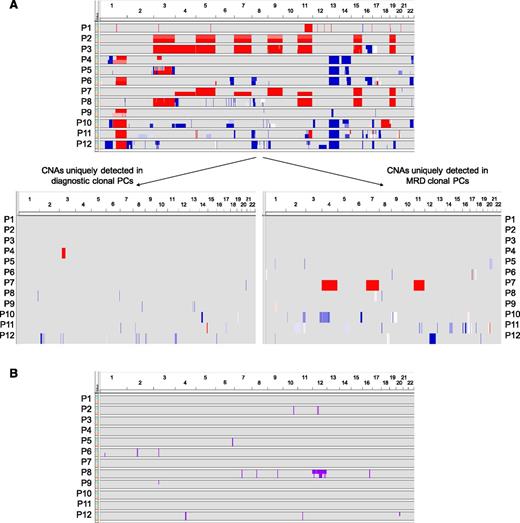 Figure 2. Clonal evolution from diagnosis to MRD clonal PCs. (A) Overview of CNAs and (B) CNN-LOH detected in clonal PCs from matched BM samples from 12 patients at diagnosis and during MRD monitoring. In A, copy number profile of patient-paired diagnostic and MRD clonal PCs for each patient are stacked, with the diagnostic sample shown on the top (green) and the MRD sample in the bottom (salmon). Sample pairs are indicated on the y-axis and chromosome location on the x-axis. Blue shading indicates the presence of copy number loss; red indicates copy number gain. In B, CNN-LOH detected in diagnostic (green) and MRD (salmon) clonal PCs are represented by pink bars.
