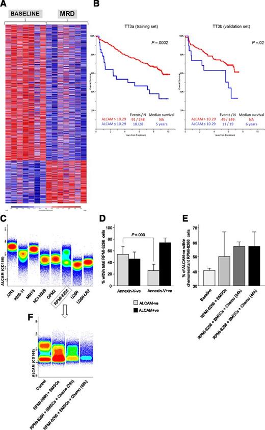Figure 3. Gene expression profiles of MRD vs diagnostic MM clonal PCs. (A) Heat map of genes with differential expression (false discovery rate q-value <0.05) between patient-paired diagnostic and MRD clonal PCs. (B) Overall survival according to low vs high (≤10.29 vs >10.29 normalized mRNA expression) ALCAM levels determined in CD138+ve purified PCs from newly diagnosed MM patients treated according to TT3A (n = 276; training set) and TT3B (n = 168; validation set). (C) ALCAM (CD166) protein surface expression in a panel of MM cell lines is shown using the total density graphic representation of the Infinicyt software. (D) Overall ALCAM (CD166) protein surface expression in chemoresistant (Annexin-V−ve) and apoptotic (Annexin-V+ve) RPMI-8226 cells; the percentage of ALCAM−ve and ALCAM+ve MM cells is represented by the black and gray bars, respectively. (E) Percentage of ALCAM−ve cells within total chemoresistant (Annexin-V−ve) RPMI-8226 cells at baseline, on coculture with BMSCs and in coculture with BMSCs after 24- and 48-hour exposure to bortezomib, lenalidomide, dexamethasone, and melphalan. All experiments were performed in triplicate. (F) Representative experiment (n = 1) of ALCAM (CD166) protein surface expression in chemoresistant (Annexin-V−ve) RPMI-8226 cells.