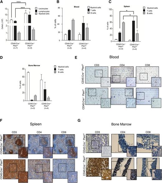 Figure 2. Pten loss in CD45-expressing cells leads to development of T-ALL. (A) Complete blood cells counts showing total number of leukocytes, lymphocytes, and myeloid cells in CD45:Cre−/−Ptenf/f and CD45:Cre+/−Ptenf/f mice. (B-D) Quantification of flow cytometry analysis of blood (B), spleen (C), and bone marrow (D) from CD45:Cre−/−Ptenf/f and CD45:Cre+/−Ptenf/f mice. (E-G) Representative images of CD3, CD4, and CD8 immunhistochemistry in blood (E), spleen (F), and bone marrow (G) from CD45:Cre−/−Ptenf/f and CD45:Cre+/−Ptenf/f mice. Data are means ± standard deviation; *P ≤ .05; ***P ≤ .0001.
