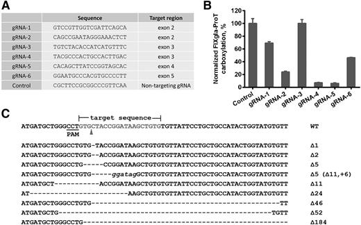 Figure 3. CRISPR-Cas9–mediated GGCX knockout in HEK293 reporter cells. (A) Six optimized gRNA sequences for GGCX targeting and a nontargeting gRNA sequence as the control. (B) Carboxylation activity of HEK293 reporter cells targeted by different gRNAs, as shown in panel A. (C) Insertion and deletion mutations (indels) introduced by Cas9-gRNA-5 in the target site. The wild-type sequence is shown at the top. Dashes, deletions; italic lowercase letters, insertions. The sizes of indels are indicated to the right of each sequence.