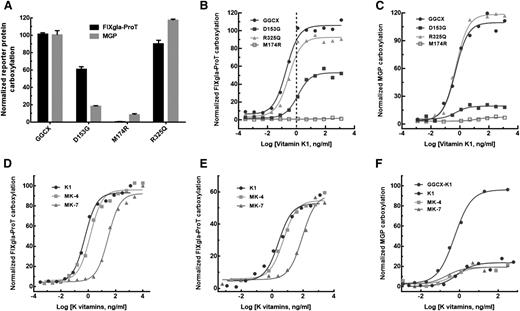 Figure 5. Characterization of the 3 identified GGCX mutations using the established cell-based assay. (A) Carboxylation of FIXgla-ProT (black bars) and MGP (gray bars) by wild-type GGCX, GGCXD153G, GGCXM174R, and GGCXR325Q in GGCX-deficient cells in the presence of 5 µg/mL vitamin K1. (B) Carboxylation of FIXgla-ProT by wild-type GGCX (circles), GGCXD153G (solid squares), GGCXM174R (open squares), and GGCXR325Q (triangles) with increasing concentrations of vitamin K1; the vertical dashed line indicates the presumed physiological concentration of vitamin K1. (C) Carboxylation of MGP by the wild-type GGCX, GGCXD153G, GGCXM174R, and GGCXR325Q with increasing concentrations of vitamin K1 as in panel B. (D) Carboxylation of FIXgla-ProT by wild-type GGCX with increasing concentrations of vitamin K1 (circles), MK-4 (squares), and MK-7 (triangles). (E) Carboxylation of FIXgla-ProT by GGCXD153G with increasing concentrations of K vitamins as in panel D. (F) Carboxylation of MGP by GGCXD153G with increasing concentrations of K vitamins as in panel D. Carboxylation of MGP by the wild-type GGCX with vitamin K1 was used as a control (darker circles).