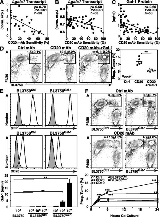 Figure 6. Lymphoma Gal-1 expression correlates with CD20 mAb resistance. (A-C) Gal-1 expression inversely correlates with lymphoma sensitivity to CD20 immunotherapy. Scatter plots compare normalized (A) and quantitative (B) Lgals1 transcript expression and Gal-1 secretion (C) relative to CD20 mAb sensitivity for each lymphoma analyzed. (D) Addition of Gal-1 blocks CD20 mAb-dependent phagocytosis of lymphoma cells. Peritoneal macrophages were cocultured with labeled BL3750 lymphoma cells as in Figure 2A, with or without CD20 mAb or rGal-1 added to the cultures as indicated. Each dot represents the results of individual experiments, with bars indicating means. (E) Representative GFP and cell surface CD20 expression by BL3750Ctrl or BL3750Gal-1 cells (open histograms) vs BL3750 cells (top panels, shaded histograms) or isotype-matched control mAb staining (middle panels, shaded histograms). Values represent mean (± SEM) Gal-1 secretion by BL3750, BL3750Ctrl, and BL3750Gal-1 cells (bottom panel, pooled results from 5 experiments). (F) Gal-1 blocks CD20 mAb-dependent phagocytosis of lymphoma. Peritoneal macrophages were cocultured for 24 hours with labeled BL3750Ctrl or BL3750Gal-1 lymphomas previously incubated with control (top panels) or CD20 mAb (middle panels), with representative contour plots showing F4/80 vs labeled BL3750 staining and mean (± SEM) frequencies of phagocytosed lymphomas cells shown. Values represent mean (± SEM) frequencies of BL3750Ctrl (circles) or BL3750Gal-1 (squares) previously incubated with control (open shapes), CD20 (closed shapes), or CD19 mAb (gray shapes) and cultured for 3, 6, and 24 hours with macrophages from 3 to 5 experiments (bottom panel, n = 7-20 mice per group).