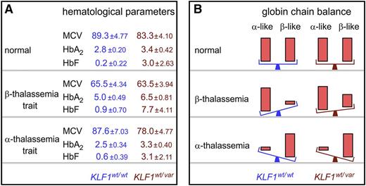 Figure 3. Impact of class 2 or 3 KLF1 variants on clinical severity of hemoglobinopathies. (A) Three major hematologic indices— mean cell volume (MCV), HbA2, and HbF—in controls and α- or β-thalassemia trait individuals with (wt/var) or without (wt/wt) class 2 or 3 KLF1 variants. Values are mean ± standard deviation, derived from Liu et al7 and Yu et al.55 (B) Effects of class 2 or 3 KLF1 variants on globin chain balance in healthy controls (normal) and α- or β-thalassemia patients. Significant recovery of globin chain balance is observed only when β-thalassemia is co-inherited with a class 2 or 3 KLF1 variant. α-like denotes ζ- and α-globin chains, and β-like denotes ε-, γ-, δ-, and β-globin chains. wt, wild type; var, variant.