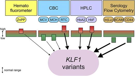 Figure 4. Flags indicating carrier status of class 2 or 3 KLF1 variants. Automated complete blood count (CBC): mean cell volume (MCV) and mean corpuscular hemoglobin (MCH) are low or at the low end of the normal range. Reticulocyte count (RTC) is high or at the high end of the normal range. ZnPP measured by hematofluorometer is high or at the high end of the normal range, with normal iron stores and absence of lead poisoning. HbA2 and HbF are measured by high-performance liquid chromatography (HPLC) and are moderately increased or at the high end of the normal range. Lutheran antigens are measured by serology and are decreased but not completely absent; Indian antigen (CD44) is measured by flow cytometry and is reduced with normal expression of glycophorin A (CD235a). Weight of the arrows indicates the likelihood that a class 2 or 3 KLF1 variant is present; this increases when several flags are observed simultaneously.