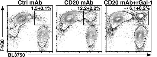 Flow cytometry analysis of phagocytosis by F4/80-positive murine peritoneal macrophages cocultured with BL3750 lymphoma cells previously incubated with anti-CD20 mAb shows addition of Gal-1 inhibits engulfment as evidenced by decreased percentage of events in the upper right quadrant. Ctrl, control; rGal-1, recombinant Gal-1. See the complete Figure 6 in the article by Lykken et al that begins on page 1886.