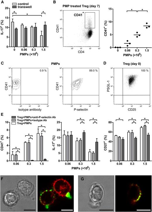 Figure 2. PMP inhibition of Treg differentiation is P-selectin dependent. Tregs were isolated from healthy donors and cultured for 7 days with anti-CD3/anti-CD28 mAb–coated beads and recombinant human IL-2, IL-15, and IL-1β in the presence or absence of allogeneic PMPs isolated from platelet apheresis units of 3 healthy donors. Flow cytometry analyses of intracellular cytokines were performed after stimulation with PMA and ionomycin, in the presence of Brefeldin A. (A) Intracellular IL-17 expression in Tregs that were cocultured with PMPs as a standard mixed culture (control) or separated by a porous membrane (transwell). (B) The presence of the platelet-specific marker CD41 was assessed on the CD4+ Tregs after coculture with increasing PMP concentrations. Each donor’s Tregs are shown as a dot representing the mean response of those Tregs to the 3 different donors’ PMPs. The mean is presented as bars. *P < .05. (C) Representative contour plots of PMPs stained with anti–CD41-PE and anti–P-selectin-FITC or isotype mAbs. The contour plots are representative of 3 donors. (D) Treg expression of PSGL-1 and CD25 at day 0 of culture. (E) Surface CD41, CD27, and intracellular expression of IL-17 on Treg cocultured with untreated, isotype, or anti–P-selectin mAb-neutralized PMPs. The graphs are representative of 2 Treg donors. Mean and SD are shown. *P < .05. (F) Confocal laser scanning microscopy of Tregs cocultured with 1.5 × 106 PMPs for 16 hours in the presence of anti-CD3/anti-CD28 mAb–coated beads and recombinant human IL-2 and stained for CD41 (FITC, green) and CD25 (APC, red) or (G) P-selectin (FITC, green) and PSGL-1 (APC, red). Scale bar, 5 µm. Representative images are shown. Images were acquired with a TCS SP5 confocal microscope (Leica Microsystems, Mannheim, Germany) equipped with an HCX-PL-APO 63× 1.2 water-immersion lens while cells were maintained at 37°C in HBS buffer. Leica LAS AF acquisition software was used.