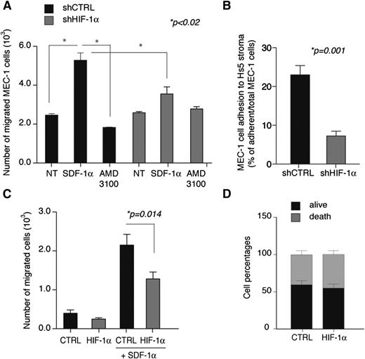 Figure 2. HIF-1α silencing inhibits SDF-1-mediated chemotaxis and adhesion to stroma in CLL. (A) SDF-1α-mediated migration of MEC-1 cells is inhibited upon chronic silencing of HIF-1α cells (shHIF-1α) compared with control cells (shCTRL). Where indicated, cells were pretreated with the CXCR4 inhibitor AMD3100 as a control. Data are represented as mean values ± SEM of 3 independent experiments. (B) Cell adhesion of MEC-1 cells to Hs5 stromal cells is inhibited upon chronic silencing of HIF-1α cells (shHIF-1α) compared with control cells (shCTRL). MEC-1 cell adhesion was calculated as the percentage of MEC-1 cells adhering to Hs5 cells over total MEC-1 cells in coculture. Data are represented as mean values ± SEM of triplicates from 1 of 3 experiments with similar results. (C) SDF-1α-mediated migration of primary CLL B cells is inhibited after electroporation with a HIF-1α-targeting oligonucleotide (HIF-1α) compared with control oligonucleotide (CTRL). Data represent mean values ± SEM (n = 10). (D) Primary CLL B cells viability after electroporation with control oligonucleotide (CTRL) or HIF-1α-targeting oligonucleotide (HIF-1α). Data are expressed as percentages of total population and represent mean values ± SEM (n = 14). NT, untreated.