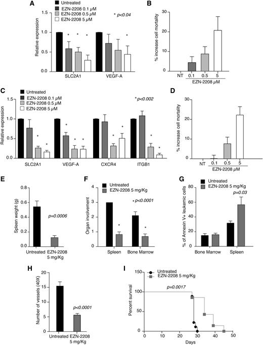 Figure 4. EZN-2208 treatment recapitulates HIF-1α silencing. (A) Relative expression of the indicated genes in MEC-1 cells treated with the indicated doses of EZN-2208 as compared with untreated cells. Data represent mean values ± SEM of 3 independent experiments. (B) Increase of cell mortality of MEC-1 cells treated with the indicated doses of EZN-2208 with respect to basal cell death in untreated cells. Data are expressed as percentages and represent mean values ± SEM of 3 independent experiments. (C) Relative expression of the indicated genes in primary CLL B cells from 8 patients treated with the indicated doses of EZN-2208 as compared with untreated cells. Data represent mean values ± SEM (n = 8). (D) Increase of cell mortality of primary CLL B cells treated with the indicated doses of EZN-2208 with respect to basal cell death in NT cells. Data are expressed as percentages and represent mean values ± SEM (n = 8). (E) Spleen weight of Rag2−/−γc−/− mice injected with MEC-1 cells, treated with EZN-2208 at day 18 after leukemia challenge, and euthanized at the end of treatment (day 27). Data are expressed as mean values ± SEM (n = 6). (F) Histopathological evaluation of BM and spleen colonization of Rag2−/−γc−/− mice injected with MEC-1 cells, treated and euthanized as in panel E. Data represent organ involvement as evaluated by a certified pathologist and are expressed as mean values ± SEM (n = 6). (G) Analysis of annexin V+ MEC-1 cells in the BM and spleen of leukemic mice treated and euthanized as in panel E. Data are expressed as percentage of annexin V+ cells within CD19+ cells in the indicated organs (n = 6). (H) Graph of average number of microvessels per field (original magnification ×40) in spleen colonized by MEC-1 cells at the end of EZN-2208 treatment as in panel E. Data are represented as mean values ± SEM (n = 3). (I) Kaplan-Meier survival curve of Rag2−/−γc−/− mice injected with MEC-1 cells, treated with EZN-2208 at day 18 after leukemia challenge, and euthanized when terminally sick (untreated, n = 9; EZN-2208-treated animals, n = 7). Data are representative of 1 of 2 experiments with similar results.