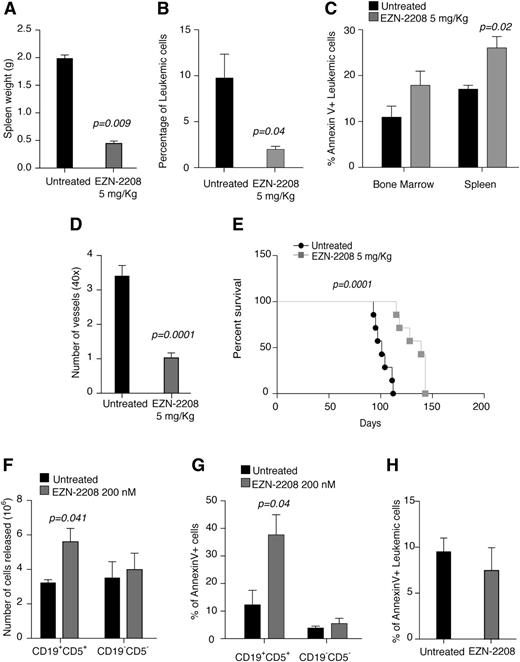 Figure 5. HIF-1α inhibition affects BM and spleen colonization in mouse CLL and promotes ex vivo cell mobilization. (A) Spleen weight at the end of treatment with EZN-2208 (day 63) of mice transplanted with EµTCL1-derived leukemia and treated with EZN-2208 at day 54. Data are presented as mean values ± SEM (n = 3). (B) Percentage of leukemic cells (CD5+CD19+) in the BM of mice transplanted with EµTCL1-derived leukemia, treated with EZN-2208, and euthanized as in panel A (n = 3). (C) Percentage of annexin V+ leukemic cells (CD5+CD19+) in the BM and spleen of mice transplanted with EµTCL1-derived leukemia, treated with EZN-2208, and euthanized as in panel A (n = 3). (D) Number of microvessels per field (original magnification ×40) in spleen colonized by leukemic cells of mice treated and euthanized as in panel A. Data represent mean values ± SEM (n = 2). (E) Kaplan-Meier survival curve of mice transplanted with EµTCL1-derived leukemia, treated with EZN-2208, and euthanized when terminally sick (untreated, n = 7; EZN-2208-treated animals, n = 5). (F) Number of leukemic (CD5+CD19+) and nonleukemic (CD5−CD19−) cells released in the culture supernatant from spleen fragments of EµTCL1-derived leukemic mice after 48 hours ex vivo culture in bioreactor. Data are represented as mean values ± SEM of 3 independent experiments. (G) Percentage of annexin V+ leukemic (CD5+CD19+) and nonleukemic (CD5−CD19−) cells released from spleen fragment after ex vivo culture in bioreactor for 48 hours. Data are represented as mean values ± SEM of 3 independent experiments. (H) Percentage of annexin V+ leukemic (CD5+CD19+) cells within spleen fragments after ex vivo culture in bioreactor for 48 hours. Data represent mean values ± SEM of 3 independent experiments.
