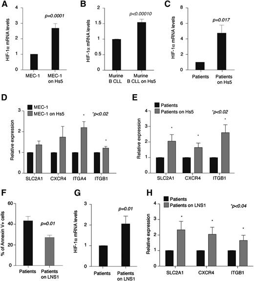 Figure 6. HIF-1α is transcriptionally upregulated in CLL cells upon coculture with stromal cells. (A-C) Relative expression of HIF-1α after 24 hours of coculture with Hs5 cells as compared with cells cultured without stroma. (A) MEC-1 cells. Data represent mean values ± SEM of 3 independent experiments. (B) Leukemic murine cells (CD5+CD19+) from PB of EµTCL1-transplanted mice. Data represent mean values ± SEM of 2 independent experiments. (C) Primary CLL B cells. Data represent mean values ± SEM (n = 10). (D-E) Relative expression of the indicated genes in MEC-1 cells (D) and primary CLL B cells (E) after 24 hours of coculture with Hs5 cells as compared with cells cultured without stroma. Data represent mean values ± SEM of 3 independent experiments (D) and mean values ± SEM (n = 10) (E). (F) Percentage of annexin V+ primary CLL B cells (CD19+) after 72 hours of culture or coculture with CLL lymph node stromal cells (LNS1) (n = 5). (G) Relative expression of HIF-1α in primary CLL B cells after 24 hours of coculture with LNS1 as compared with cells cultured without stroma (n = 9). (H) Relative expression of the indicated genes in primary CLL B cells after 24 hours of coculture with LNS1 cells as compared with cells cultured without stroma (n = 9).