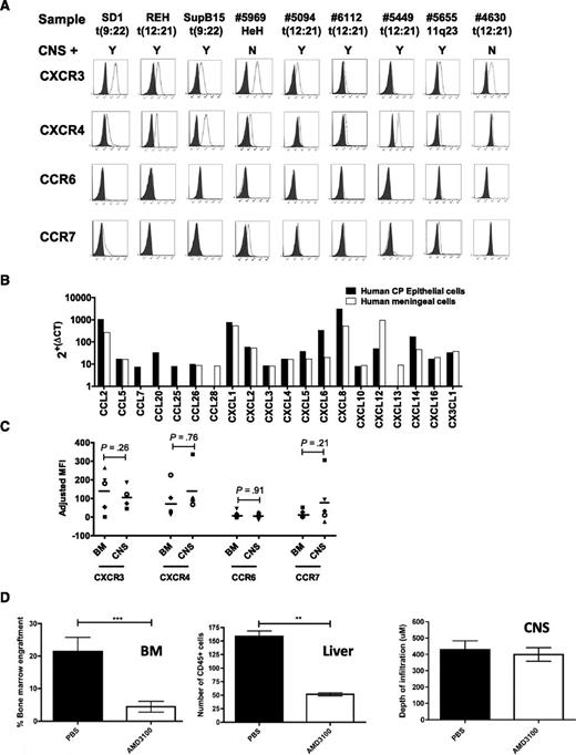 Figure 3. Chemokine receptors and CNS engraftment. (A) Flow cytometry for chemokine receptor expression in BCP-ALL. Shaded histogram represents isotype control; open histogram represents specific staining. Sample names and associated translocations are indicated. CNS+ denotes CNS engraftment, with the results of xenografting this sample into mice categorized as Y (evidence of CNS engraftment) or N (no evidence of CNS engraftment). (B) Quantitative PCR for chemokine ligand expression by cultured human primary meningeal cells (white bars) and choroid plexus (CP) epithelial cells (black bars) (both passage 3). Arbitrary expression values were derived from ΔCT. (C) Primary ALL cells from 1 CNS-3 patient (open symbols) and 4 CNS-1 matched controls (closed symbols) were retrieved from BM and meninges of xenografted mice and analyzed by flow cytometry. Contaminating murine cells were excluded by gating on human CD45. A total of 105 events were analyzed when possible. Data represent adjusted mean fluorescence intensity (MFIspecific − MFIisotype) of live leukemic cells (huCD45+/Draq7−). Bars represent means of adjusted MFIs. Differences between CNS and BM expression were analyzed using 2-tailed paired Student t tests. (D) Leukemic infiltration in NSG mice engrafted with cells expressing REH–luciferase–green fluorescent protein (GFP) and treated with the CXCR4 inhibitor AMD3100 or PBS control. Left: Leukemic engraftment in the BM as measured by numbers of GFP-positive cells (REH-luciferase-GFP) on flow cytometry. Data show mean ± standard error of the mean (SEM) in n = 7 and n = 6 mice for PBS and AMD3100 groups, respectively, analyzed by an unpaired Student t test, ***P < .001. Center: Liver infiltration quantified by counting human-CD45+ cells (brown diaminobenzidine-stained cells) in 8 random fields of view per section. Data show mean ± SEM for n = 4 and n = 5 mice in PBS and AMD3100 groups, respectively, analyzed by an unpaired Student t test, **P < .01. Right: Histologic analysis of murine brains from xenografts (n = 5 mice in each group). Each brain was divided into 5 segments, sections were cut from each segment, and the maximal depth of meningeal infiltrates was recorded for each section using AxioVision Rel 4.3 software (Carl Zeiss). Data show mean ± SEM. Representative histology and bioluminescent in vivo imaging from these mice, along with full experimental details are provided in supplemental Figure 3.
