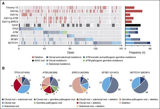 Figure 2. Graphical representation of gene aberrations observed in the entire cohort. (A) CNA, IGHV status, and mutational status of the studied genes are represented. Each column represents an untreated CLL case carrying at least 1 mutation in any of the studied genes. Bar plot on the right represents the number of times at which each CNA and IGHV status was observed in all mutated cases. Blue bar plots refers to the number of cases carrying isolated subclonal mutations, only clonal mutations, or both regarding the mutational status of the studied genes. Cases carrying ATM definitely/likely pathogenic germ line variants are also shown. (B) Incidence of TP53, ATM, BIRC3, SF3B1, and NOTCH1 alterations classified regarding its clonal representation in the study cohort. Del, deletion; mut, mutation/s.