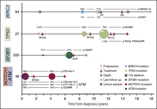 Figure 5. Representative examples of clonal evolution observed in a 48-sample longitudinal analysis. Illustration of 4 representative CLL cases of clonal evolution showing the decrease or expansion of the BIRC3-, TP53-, SF3B1-, ATM-, or NOTCH1-mutated clone. Time 0 corresponds to the diagnosis time point. Each circle represents a unique mutation and its size is proportional to the VAF of the mutation corrected by the sample’s tumor purity. Each mutation is represented at the time point at which a tumor sample was collected. B+O, bendamustine, ofatumumab; B+R, bendamustine, rituximab; Chl, chlorambucil; FC, fludarabine, cyclophosphamide; L, lenalidomide; RFCM, rituximab, fludarabine, cyclophosphamide, mitoxantrone.