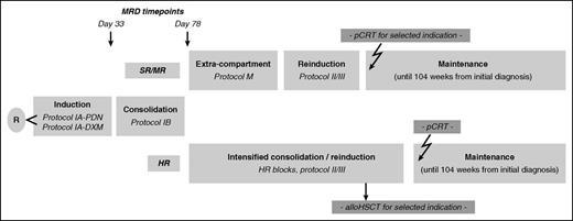 Figure 1. Treatment outline of AIEOP-BFM ALL 2000. alloHSCT, allogeneic hematopoietic stem cell transplantation; pCRT, preventive cranial radiotherapy; Protocol IA-PDN, Protocol IA with prednisone; Protocol IA-DXM, Protocol IA with dexamethasone; R, randomization.