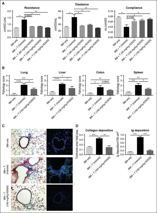 Figure 1. Therapeutic administration of KD025 decreases cGVHD pathology. B10.BR mice transplanted with B6 BM and T cells were treated with varying doses of KD025 or 0.4% methylcellulose from days 28 to 56. (A) Day 60 pulmonary function tests. (B) Pathology scores for lung, liver, colon, and spleen on day 60 for mice treated with 150 mg/kg KD025. (C) Representative images of Masson’s Trichrome stain (left) and total mouse immunoglobulin (right) in the lungs of mice on day 60 and (D) quantifications. *P < .05; **P < .01; ***P < .001; ****P < .0001. Error bars represent standard error of the mean (SEM); data from 4 separate experiments with n = 8 per group.