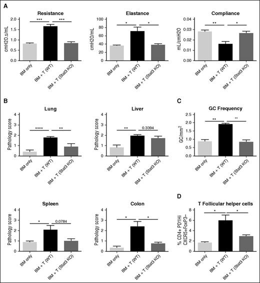 Figure 3. Stat3 expression in T cells is necessary for the development of cGVHD. B10.BR mice were transplanted with B6 WT BM and either WT or Stat3-deficient T cells. (A) Day 60 pulmonary function tests. (B) Pathology scores from lung, liver, spleen, and colon on mice killed on day 60. (C) Frequency of germinal centers in spleens of mice killed on day 60. (D) Frequency of T follicular helper cells on day 60. *P < .05; **P < .01; ***P < .001; ****P < .0001. Error bars represent SEM; data from 2 separate experiments with n = 8 per group.