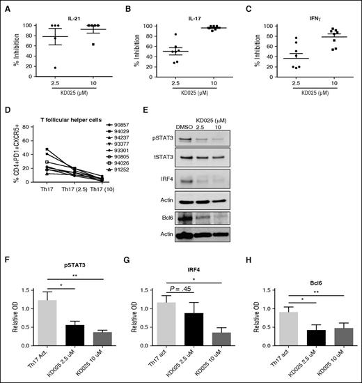Figure 5. Immunologic effects of KD025 on human cGVHD. PBMCs from patients with active cGVHD were analyzed for their ability to produce (A) IL-21, (B) IL-17, and (C) IFNγ when treated with 2.5 μM, 10 μM, or DMSO vehicle for 48 hours. (D) The frequency of T follicular helper cells present and (E) expression of pStat3 normalized to actin, IRF4, and Bcl6 in samples treated with KD025, quantified in F, G, and H, respectively. *P < .05; **P < .01. Error bars represent standard deviation.
