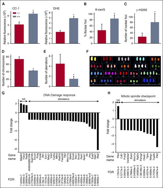 Figure 6. ABL1 prevents accumulation of chromosomal aberrations in BCR-ABL1 leukemia cells. (A) Mean ± SD of relative fluorescence of ROS; CC-1 (left panel) and DHE (right panel) in BCR-ABL1 Abl1−/− and BCR-ABL1 Abl1+/+ leukemia cells; *P < .001. (B-C) Mean percentage ± SD of (B) 8-oxoG foci and (C) γ-H2AX foci in BCR-ABL1 Abl1−/− and BCR-ABL1 Abl1+/+ leukemia cells assessed by immunofluorescence in 4,6 diamidino-2-phenylindole (DAPI)-counterstained nuclei; *P < .001. (D-F) SKY analysis of BCR-ABL1 Abl1−/− and BCR-ABL1 Abl1+/+ leukemia cells based on the (D) number of chromosomes and (E) number of aberrations; results represent mean ± SD; *P < .001. (F) Representative image showing chromosome analysis of metaphase spread of BCR-ABL1 Abl1−/− leukemia cell using SKY. (G-H) Statistically significant (FDR < 0.05) fold changes (>1.5) of expression of indicated genes regulating (G) DNA damage response and (H) mitotic spindle assembly checkpoint in BCR-ABL1 Abl1−/− vs BCR-ABL1 Abl1+/+ leukemia cells maintained with SCF + IL-3.