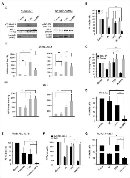 Figure 7. Activation of native ABL1 enhances the efficacy of TKIs against leukemias expressing oncogenic ABL1 kinase mutants. (A) Phoenix cells overexpressing ABL1 were treated with dimethylsulfoxide (DMSO) (control), DPH, imatinib (IM), and a combination of imatinib followed by DPH (IM+DPH). (i) Representative western blot analysis of phospho-tyrosine 245-ABL1 (pY245-ABL1), ABL1, lamin-B and β-tubulin in nuclear (left panel) and cytoplasmic (right panel) cell lysates. Quantification of normalized pY245-ABL1 (ii) and ABL1 (iii) levels to lamin-B and β-tubulin. Bars represent mean percentage volume intensity ± SD. (B-G) Percentage of viable cells or colonies ± SD from cells treated for 72 hours with diluent (Control), imatinib (IM), ponatinib, DPH, and combinations: (B) BCR-ABL1 Abl1−/− and BCR-ABL1 Abl1+/+ cells, (C) Lin−CD34+ cells from 6 CML-CP patients and 3 healthy donors, (D) xenograft cells from 3 freshly diagnosed BCR-ABL1 B-ALL patients, (E) xenograft cells from 3 relapsed B-ALL patients carrying BCR-ABL1(T315I) mutation, (F) Baf3 and Baf3-TEL-ABL1 cells, (G) NUP214-ABL1–positive murine cells; *P < .001, **P < .05 as determined by the unpaired Student t test.