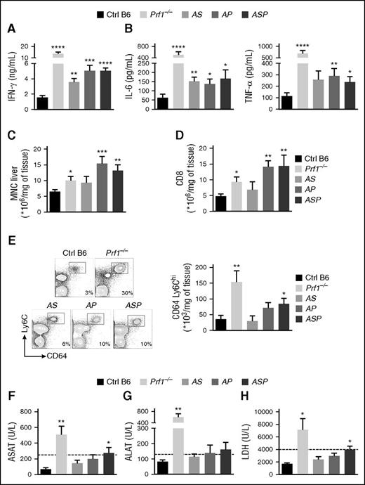 Figure 3. Accumulation of heterozygous mutations in HLH-causing genes induces biological parameters of HLH after LCMV infection. Control (black bars), Prf1−/− (lightest gray bars), Rab27a+/− Stx11+/− (AS, light gray bars), Rab27a+/− Prf1+/− (AP, medium gray bars), and Rab27a+/− Prf1+/− Stx11+/− mice (ASP, dark gray bars) were infected with 200 PFU of LCMV-WE. (A) Serum IFN-γ on day 8 postinfection. (B) Serum IL-6 (left) and TNF-α (right) on day 14 postinfection. (C) MNC infiltration in liver on day 14 postinfection. (D) The percentage of CD8+ among all MNCs from the liver. (E) Fluorescence-activated cell sorter (FACS) analysis of MNCs from liver cells gated on CD3− CD19− NK1.1− (left). Quantification of absolute numbers of CD64+ Ly6C+ in liver on day 14 postinfection (right). (F) ASAT on day 14 postinfection. (G) ALAT on day 14 postinfection. (H) Serum LDH on day 14 postinfection. Data (mean ± SEM) are representative of 3 to 4 independent experiments with at least 3 mice in each group. *P < .05; **P < .01; ***P < .001; ****P < .0001. ALAT, serum alanine aminotransferase; ASAT, serum aspartate aminotransferase; LDH, lactate dehydrogenase.