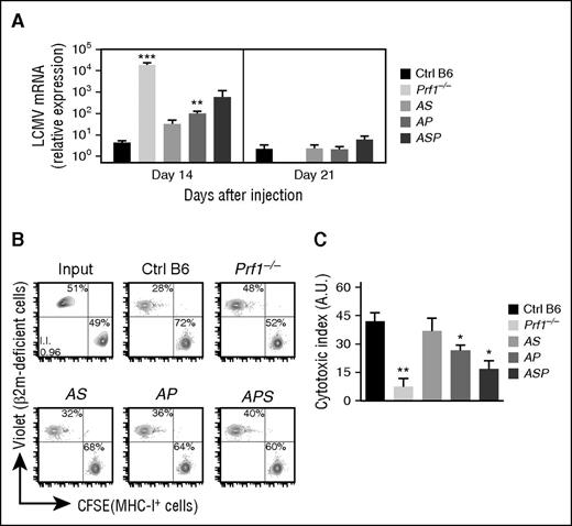 Figure 5. Reduced cytotoxic activity of lymphocytes in mice carrying heterozygous mutations in several HLH-causing genes. Control (black bars), Prf1−/− (lightest gray bars), Rab27a+/− Stx11+/− (AS, light gray bars), Rab27a+/− Prf1+/− (AP, medium gray bars), and Rab27a+/− Prf1+/− Stx11+/− mice (ASP, dark gray bars) were infected with 200 PFU of LCMV-WE. (A) LCMV titers in the liver of infected mice 14 and 21 days postinfection. Data (mean ± SEM) are representative of 3 to 4 independent experiments with at least 3 mice in each group. Control (black bars), Prf1−/− (lightest gray bars), Rab27a+/− Stx11+/− (AS, light gray bars), Rab27a+/− Prf1+/− (AP, medium gray bars), and Rab27a+/− Prf1+/− Stx11+/− mice (ASP, dark gray bars) were injected with a mix of control and β2-m–deficient spleen cells labeled with different fluorescent dyes (CFSE and Violet, respectively). Sixteen hours later, the presence of injected cells was quantified by FACS analysis. (B) FACS analysis of input cells (upper left) and MNCs from spleen of control (upper middle), Prf1−/− (upper right), Rab27a+/− Stx11+/− (AS, lower left), Rab27a+/− Prf1+/− (AP, lower middle), and Rab27a+/− Prf1+/− Stx11+/− mice (ASP, lower right panel). Data are representative of 2 independent experiments with at least 3 mice in each group. (C) Relative cytotoxic index. Data (mean ± SEM) are representative of 2 independent experiments. *P < .05; **P < .01; ***P < .001. A.U., arbitrary units; MHC, major histocompatibility complex; mRNA, messenger RNA.