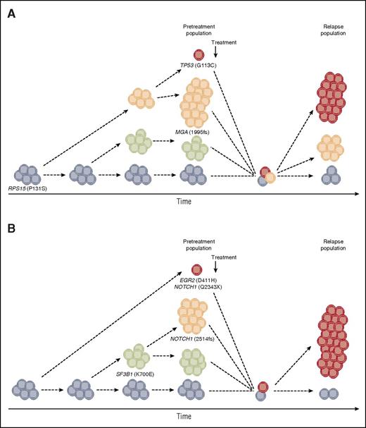 Clonal evolution and intraclonal dynamics in 2 CLL patients relapsing after fludarabine, cyclophosphamide, and rituximab therapy. Examples based on whole-exome sequencing data from our recent study (Ljungström et al).5 (A) In addition to the founding clone that harbors a RPS15 mutation, 2 subclones were observed before treatment initiation, one of which carried a frameshift deletion within MGA. At relapse, the MGA-deleted subclone disappeared, while a new subclone containing a TP53 mutation emerged. (B) A marked shift in subclonal populations was observed; while 2 subclones harboring the classical 2-bp NOTCH1 deletion and the recurrent p.K700E mutation in SF3B1 were eradicated after treatment, a new subclone emerged harboring a stop-gain NOTCH1 mutation and an EGR2 mutation.