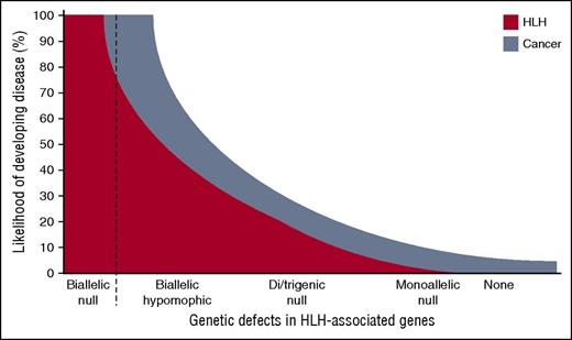 Schematic representation of the risk for developing HLH in relation to different models of genetic deficiency. Individuals with biallelic null mutations invariably develop HLH early in life, whereas hypomorphic mutations can be associated with late-onset HLH or cancer. Recently, it was suggested that monoallelic null mutations may represent a risk factor for developing cancer. Here, Sepulveda and colleagues elegantly show that polygenic monoallelic mutations add up, being associated with an intermediate risk of developing HLH. Likely, such polygenic combinations of mutations also increase the risk of cancer.