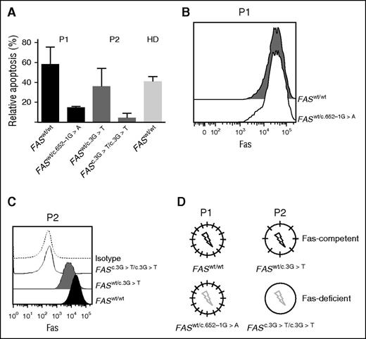 Figure 1. ALPS patients with somatic mutations carry both Fas-competent and Fas-deficient B cells. (A) Fas-induced apoptosis of EBV-transformed B-cell clones of P1, P2, and a healthy donor (HD). Both patients had B-cell populations sensitive as well as resistant to Fas-induced apoptosis (representative of 2 independent experiments). (B) Surface Fas expression in EBV-transformed B-cell clones of P1 and (C) P2. (D) Schematic depiction of Fas expression (short black line) and function (black flash, Fas-induced apoptosis normal; gray flash, Fas-induced apoptosis defective in P1 and P2).