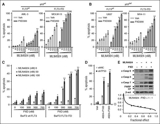 Figure 1. MLN4924 interacts synergistically with belinostat to induce apoptosis in both p53 wt and deficient leukemia cells. (A-B) p53wt OCI-AML-3 and MOLM-13 (FLT3-ITD), as well as U937 (p53-null) and MV-4-11 (p53mut, FLT-ITD), cells were exposed to the indicated concentrations of MLN4924 ± belinostat (PXD-101, nM) for 24 hours. (C) Murine Ba/F3 cells were stably transfected with constructs encoding either wt-FLT3 or FLT3-ITD. Cells were exposed to the indicated concentrations of PXD-101 ± MLN4924 for 24 hours. (D) wt-p53 OCI-AML-3 cells were stably transfected with shRNA constructs targeting human TP53 (shTP53) or scrambled sequence as a negative control (shNC), and then treated with 100 to 300 nM PXD-101 (P) ± 300 nM MLN4924 for 24 hours. For panels A-D, the percentage of Annexin V+ apoptotic cells was determined by FCM (*P < .05, **P < .01). (E) U937 cells were incubated with 300 nM PXD-101 ± 100 nM MLN4924 for 24 hours, after which cleavage of caspase 3, 7, 9, and PARP was monitored by western blot analysis (top panels). Alternatively, U937 cells were exposed (24 hours) to varying concentrations of MLN4924 ± PXD-101 at a fixed ratio (1:1), after which the percentage of Annexin V+ cells was determined, and median dose-effect analysis was then used to characterize the nature of the interaction between these agents. Combination index (CI) values <1.0 denote a synergistic interaction. The results are representative of 3 separate experiments. β-act, β-actin; c-Casp, cleaved caspase; CF, cleaved fragment; PXD, PXD-101; Veh, vehicle.