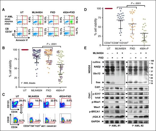 Figure 5. The MLN4924/belinostat regimen is active against primary AML/MDS cells and diminishes the primitive CD34+/CD38−/CD123+ population enriched for LICs, while displaying minimal toxicity toward normal CD34+ cells. (A) A representative primary sample from a patient with AML carrying the indicated cancer hotspot mutations (top panels) and normal CB CD34+ cells (bottom panels) was exposed to 300 nM PXD-101 ± 200 nM MLN4924 for 24 hours, after which the percentage of Annexin V+ cells was determined by FCM. (B) Parallel experiments were carried out with 47 primary samples (AML = 42; MDS = 5, indicated by squares, treatment with 500 nM PXD-101 ± 500 nM MLN4924). Cell viability was analyzed by 7-aminoactinomycin D (7AAD) staining and FCM. Lines indicate means and SD. (C) After exposure to 300 nM PXD-101 ± 200 nM MLN4924 for 24 hours, the percentage of the primitive CD34–phycoerythrin-positive (PE+)/CD38–peridinin chlorophyll protein-negative (PerCP−)/CD123–allophycocyanin-positive (APC+) population, which is enriched for LICs, was determined by multicolor FCM in BM mononuclear cells from a primary AML sample carrying the indicated cancer hotspot mutations. (D) Parallel experiments were carried out with 25 primary AML samples. Viability of CD34+/CD38−/CD123+ cells was analyzed by 7AAD staining and FCM. (E) Alternatively, western blot analysis was performed to monitor the selected markers for inhibition of neddylation, disruption of the DDR, and induction of DNA damage in 2 representative primary samples that responded to the MLN4924/belinostat regimen. GAPDH, glyceraldehyde-3-phosphate dehydrogenase; PI, propidium iodide.
