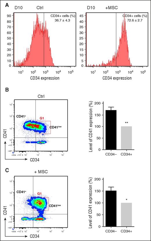 Figure 2. Identification of a CD34+CD41low population. (A) CD34 expression and % of CD41+ cells at day 10. CD34+ cells were cultured as in Figure 1A, and analyses were performed on day 10. (B) (Left) Expression of CD34 and CD41 markers at day 10 in control culture conditions. Representative flow density plot identifies 2 subpopulations based on CD41 expression, CD34−CD41+ and CD34+CD41low. Gate G1 was later used in cell sorting experiments (Figure 3). (Right) Level of CD41 expression at day 10. The level of expression of CD41 in the CD34+CD41+ quadrant as measured by FL2 fluorescence intensity was adjusted at 100% (gray bar). In CD34−CD41+ (black bar), CD41 expression was increased by 1.7 ± 0.1-fold (mean ± SEM in 8 experiments; paired Student t test, **P < .01), defining a CD34−CD41+ population by comparison with the CD34+CD41+ population defining CD34+CD41low cells. (C) (Left) Expression of CD34 and CD41 markers at day 10 in MSC-treated cultures. (Right) Level of CD41 expression at day 10.