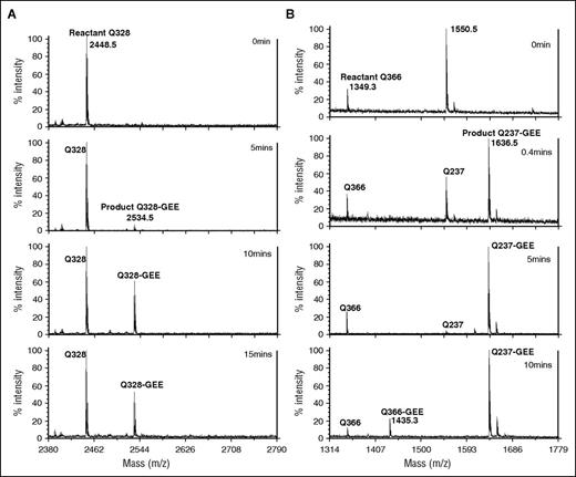 Figure 2. Crosslinking of reactive glutamines in fibrinogen αC (233-425) with lysine mimic GEE. Representative MALDI-TOF spectra showing crosslinking reaction between reactive glutamine in αC (233-425) and the lysine mimic GEE catalyzed by FXIIIa. (A) Chymotrypsin digest at time points 0, 5, 10, and 15 minutes show that the fragment peak containing reactive glutamine Q328 (2448.5 m/z) was crosslinked to GEE by FXIIIa to form a product peak Q328-GEE (2534.5 m/z). Each spectrum was obtained from the same starting assay and represents a quenched time point followed by a chymotrypsin digest analyzed using MALDI-TOF mass spectrometry. (B) A similar plot with GluC digest at time points 0, 0.4, 5, and 10 minutes shows reactant and product peaks containing Q237 and Q366, and their respective GEE-crosslinked products (1636.5 m/z and 1435.3 m/z). Q237 is mostly crosslinked to product by 20 seconds as compared with Q366, which was only crosslinked to product by 10 minutes.