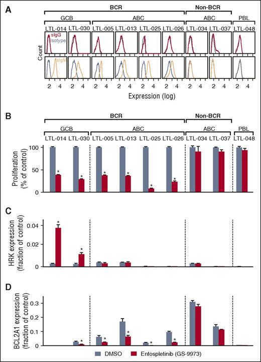 Figure 5. Analyses of cell surface immunoglobulin and BCR signaling in the LBCL PDX models. (A) Single-cell suspensions from each LBCL PDX model were gated for human CD45-positive cells and analyzed for surface immunoglobulin (IgG, red; IgM, orange; isotype, gray). CCC and COO subtypes of each model are indicated above the flow histograms. (B) Cellular proliferation of PDX tumor cell suspensions after chemical SYK inhibition with entospletinib (GS-9973) for 24 hours. (C,D) HRK (C) and BCL2A1 (D) transcript abundance following entospletinib (GS-9973) treatment. Experiments were performed in triplicate. A representative experiment of biological duplicates in shown. DMSO, dimethylsulfoxide. The P values were obtained using a Student t test (*P < .05).