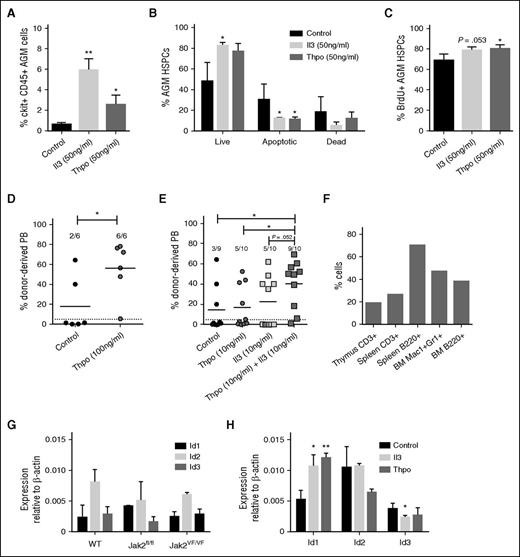 Figure 3. Il3 and Thpo have prosurvival and proproliferation effects and can expand HSCs. (A) The number of ckit+CD45+ AGM cells recovered after 3 days of explant culture in the presence or absence of Il3 or Thpo. (B) The percentage of live (7AAD−Annexin V−), early apoptotic (7AAD−Annexin V+), and dead (7AAD+Annexin V+) cells within the ckit+CD45+ population was determined. n = 3. (C) The percentage of proliferating cells that had incorporated BrdU during the last night of explant culture was determined within the ckit+CD45+ population. n = 3. (D) Repopulation levels of individual mice injected with AGM cells (0.1-0.3 embryo equivalents) explant-cultured in the presence or absence of Thpo. Dotted line represents 5% threshold. The number of positive mice out of total injected mice is indicated at the top. (E) Repopulation levels of individual mice injected with AGM cells explant-cultured in the presence or absence of Il3 and/or Thpo. Dotted line represents 5% threshold. The number of positive mice out of total injected mice is indicated at the top. (F) Multilineage analysis of donor cell contribution in one mouse highly repopulated with AGM cells cultured in the presence of Il3 and Thpo. (G) HSPCs (ckit+CD45+CD41intermediate) were sorted from uncultured AGMs of the indicated genotypes and analyzed by qPCR for Id gene expression. n = 3. (H) AGMs were cultured in the presence or absence of 100 ng/mL Il3 or Thpo, and ckit+CD45+CD41intermediate cells were sorted and then analyzed for the expression of Id1, Id2, or Id3 by quantitative real-time PCR analysis. n = 3. **P < .01, *P < .05.