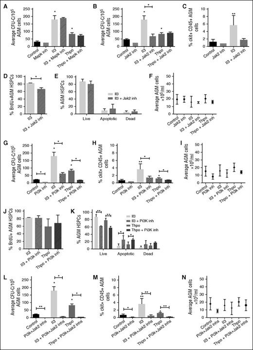 Figure 4. Il3 and Thpo signal through the Jak2 and/or Pi3k pathways. AGMs were cultured as explants in the absence or presence of Il3 or Thpo (50 ng/mL) and/or (A) Mapk inhibitor (U0126; 5 μM), (B) Jak2 inhibitor (TG101348; 3 μM), (G) Pi3k inhibitor (LY294002; 14 μM), or (L) Jak2 inhibitor + Pi3k inhibitor for 3 days and then plated in methylcellulose. Colonies were scored 7 days later. n = 3. Alternatively, (C,H,M) the percentage of ckit+CD45+ at the end of the culture was determined, and the percentage of (D,J) BrdU+ cells or (E,K) live, apoptotic, and dead cells within this population. (F,I,N) The total number of cells recovered at the end of the each explant culture was also counted. n = 3; **P < .01, *P < .05.