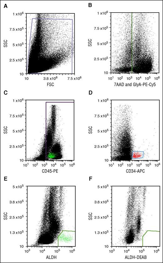 Figure 2. Potency assay gating. (A) Debris-free gate. (B) Gating of the nonviable (7-AAD+) and RBC (PE-Cy5-GlyA+) cells. (C) Gating of the PE-CD45+ cells. (D) Gating of APC-CD34+ cells. (E) Gating of ALDHbr cells. (F) Gating of cells stained with the Aldecount reagent in the presence of the inhibitor DEAB. BAA, BODIPY aminoacetate; FSC, forward scatter; SSC, side scatter.