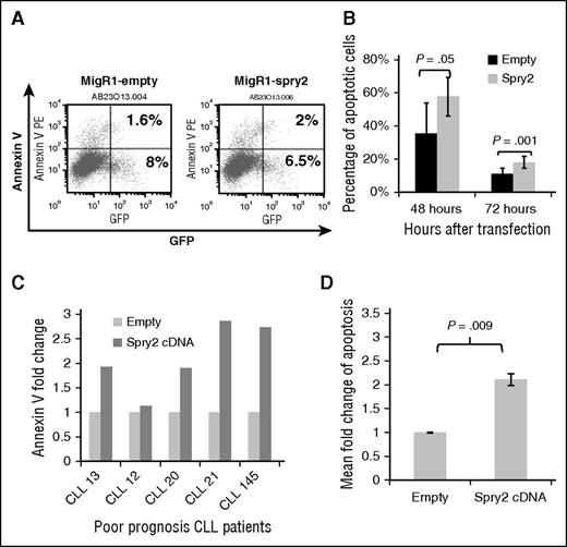 Figure 4. Expression of SPRY2 induces spontaneous apoptosis in CLL cells. (A) Mec-1 cells were transfected with empty and spry2-cDNA GFP co-expressing vectors. (B) Annexin V staining done after 48 and 72 hours. Only “live” cells were gated for the analysis. The numbers represent the percentage of GFP-positive cells also positive for Annexin V. (C) Primary CLL cells from different poor-prognosis CLL patients were nucleofected with spry2-cDNA and empty vector (n = 5). Bar graph represents fold in percentage of apoptotic cells. (D) Mean fold change of spry2-cDNA and empty vector transfected cells from (C). P = .009.