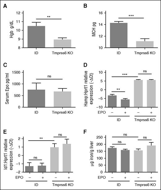 Figure 2. Hematologic parameters and iron homeostasis in EPO-treated ID and Tmprss6 KO mice. WT littermates were fed an ID diet for 3 weeks and analyzed in comparison with Tmprss6 KO animals on a mixed genetic background. Hb levels (A) and MCH (B) are shown from 4 to 10 mice per group. Serum EPO (C) was measured in ID mice (n = 5) and Tmprss6 KO animals (n = 6). The BMP-SMAD target genes Hamp (D) and Id1 (E) were analyzed by qRT-PCR in liver samples from Tmprss6 KO animals, on a mixed background, and control littermates (6 to 13 mice per group) kept an ID diet for 3 weeks and were injected with saline or EPO. mRNA expression was normalized to the housekeeping gene Hprt1. (F) Non-heme LIC was measured in saline- or EPO-treated ID and Tmprss6 KO mice. Error bars indicate ± SEM. **P < .01; ***P < .001. ns, nonsignificant.