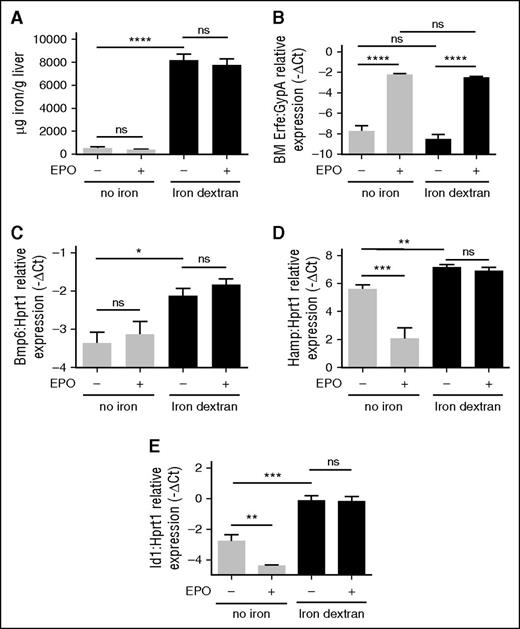 Figure 4. Modulation of Erfe, hepcidin, and Id1 by EPO in iron-loaded mice. Sv129 WT mice were injected with iron dextran and challenged with EPO or vehicle 1 week later. Control mice (no iron) were treated with saline. Non-heme LIC (A) was measured in untreated and iron-loaded mice. Erfe expression was measured by qRT-PCR in BM-derived cells. mRNA expression was normalized relative to the erythroid marker GypA (B). Four mice per group were analyzed. Bmp6 mRNA expression (C), BMP-SMAD target genes as Hamp (D), and Id1 (E) were analyzed by qRT-PCR in total liver of treated animals and normalized to the housekeeping gene Hprt1. Error bars indicate ± SEM. *P < .05; **P < .01; ***P < .001; ****P < .0001. ns, nonsignificant.
