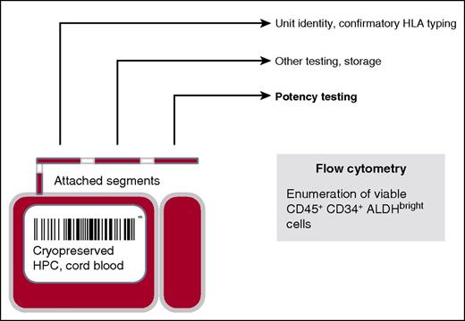 Cryopreserved CBUs have 2 detachable compartments for potential cell manipulations of the 20% or 80% fractions. Also, smaller aliquots of cryopreserved cells in detachable segments are available for quality control testing, such as confirmatory HLA typing and analysis of the unit’s potency. HPC, hematopoietic progenitor cell.
