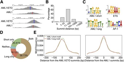 Figure 2. Bioinformatic analysis reveals that AML1/ETO and AML1 bind to adjacent and specified motifs on chromatin. (A) Examples of the AML1/ETO and AML1 overlap peaks. Vertical blue lines indicate the peak summits of AML1/ETO; vertical red lines indicate the peak summits of AML1. (B) The distance between the summit of AML1/ETO and AML1 binding on the overlap peaks. (C) Significant motifs identified within the AML1/ETO and AML1 overlap regions. (D) Percentages of the AML1/ETO and AML1 overlapped regions that contain the short and/or long AML1 motifs. (E) Frequency distribution of the short and long AML1 motifs relative to the AML1/ETO and AML1 peak summits on the overlap regions containing both motifs.